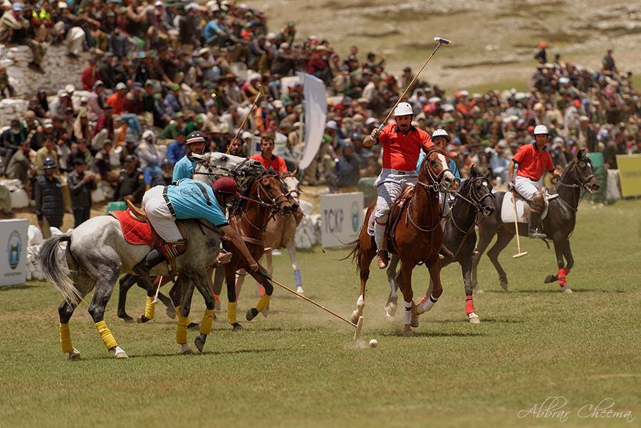 Polo on the roof of world!